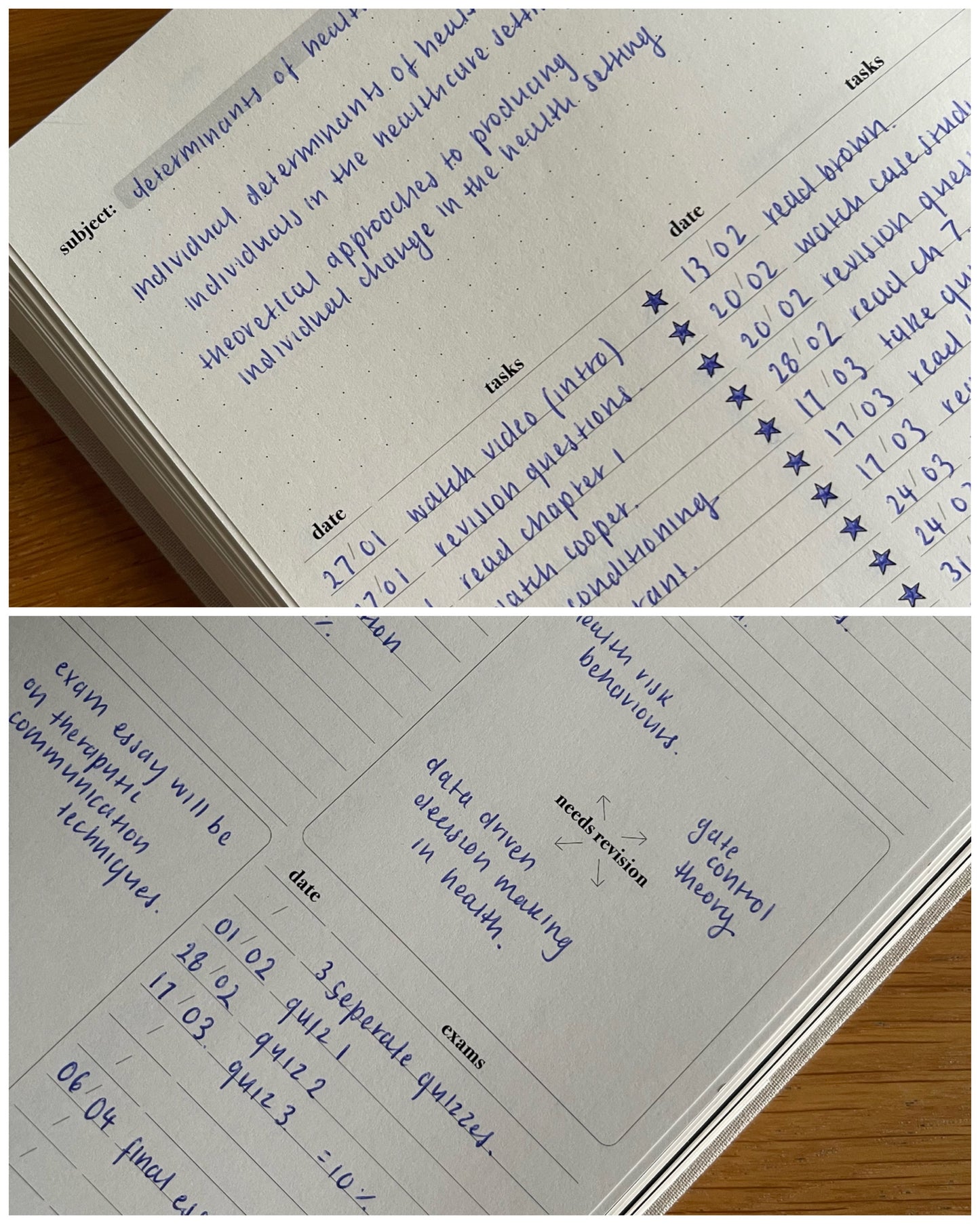 My Academic Agenda