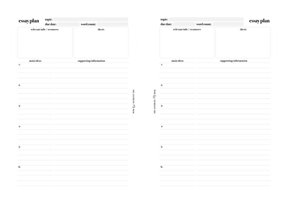 Essay Plan